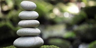 Men's Zen Retreat